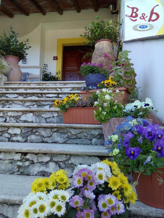 Casa D' Artista B&B Оциери Екстериор снимка