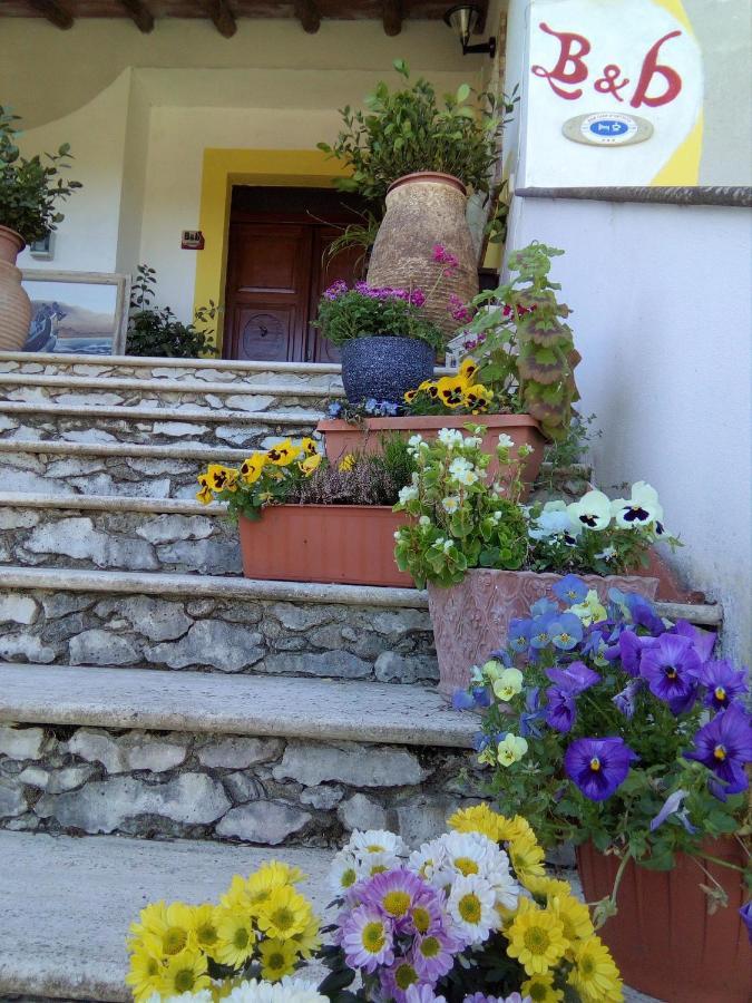 Casa D' Artista B&B Оциери Екстериор снимка