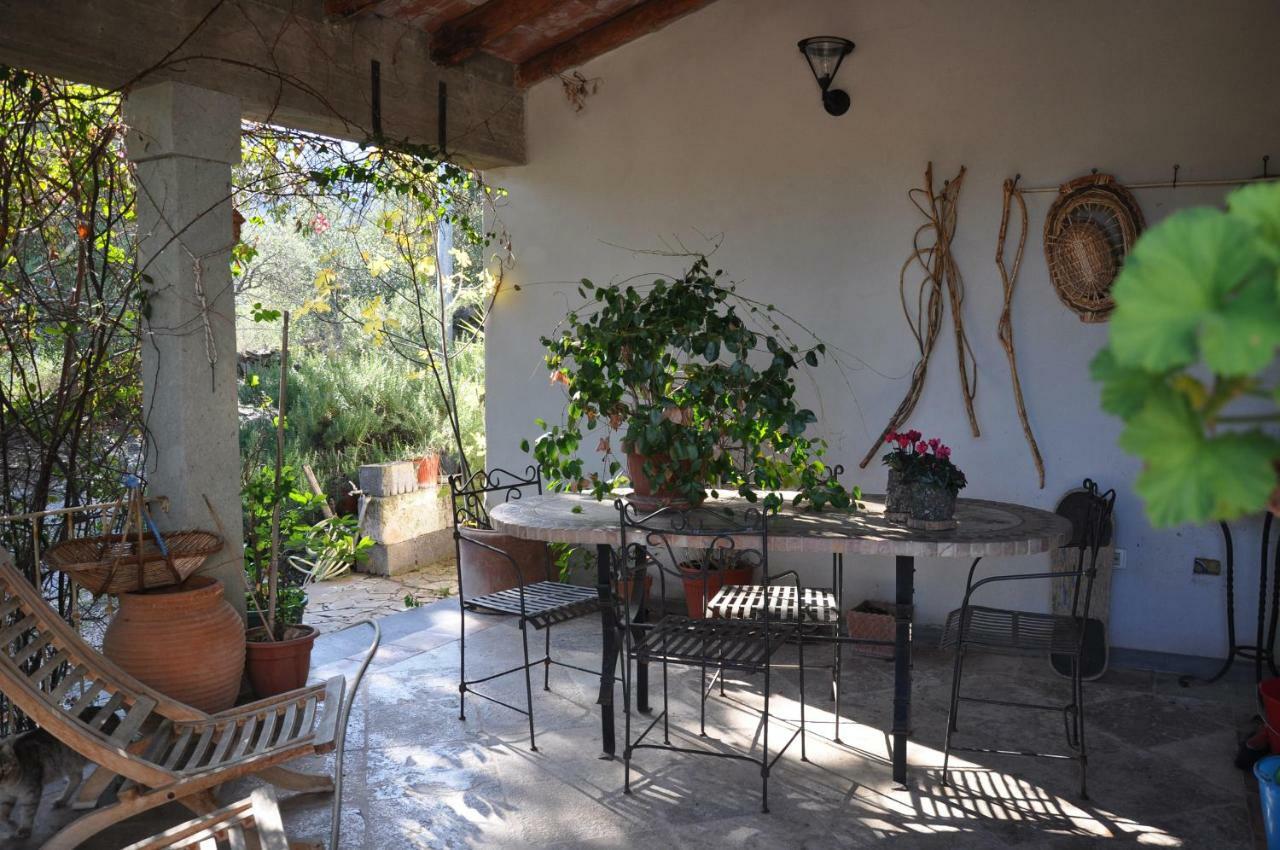 Casa D' Artista B&B Оциери Екстериор снимка