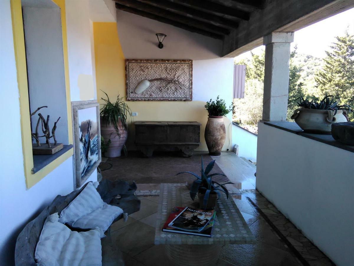 Casa D' Artista B&B Оциери Екстериор снимка