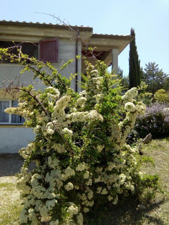 Casa D' Artista B&B Оциери Екстериор снимка