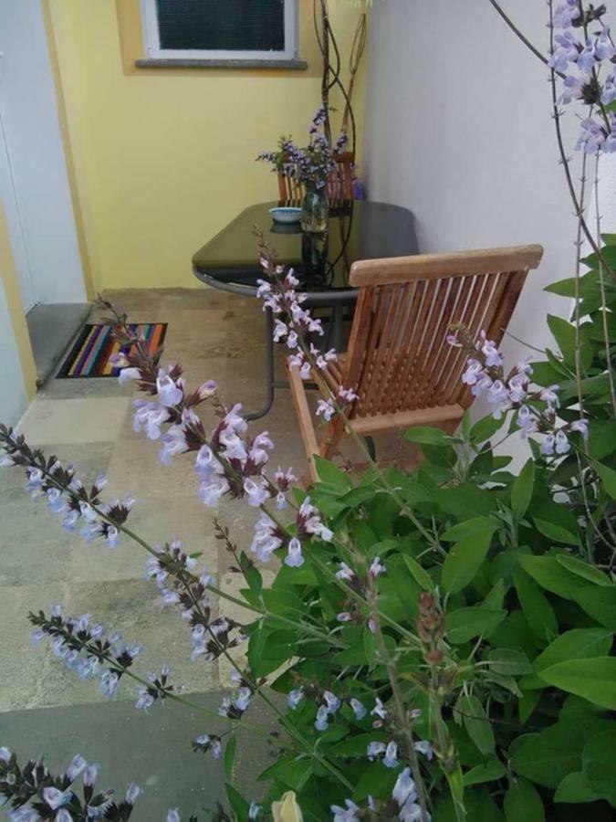Casa D' Artista B&B Оциери Екстериор снимка