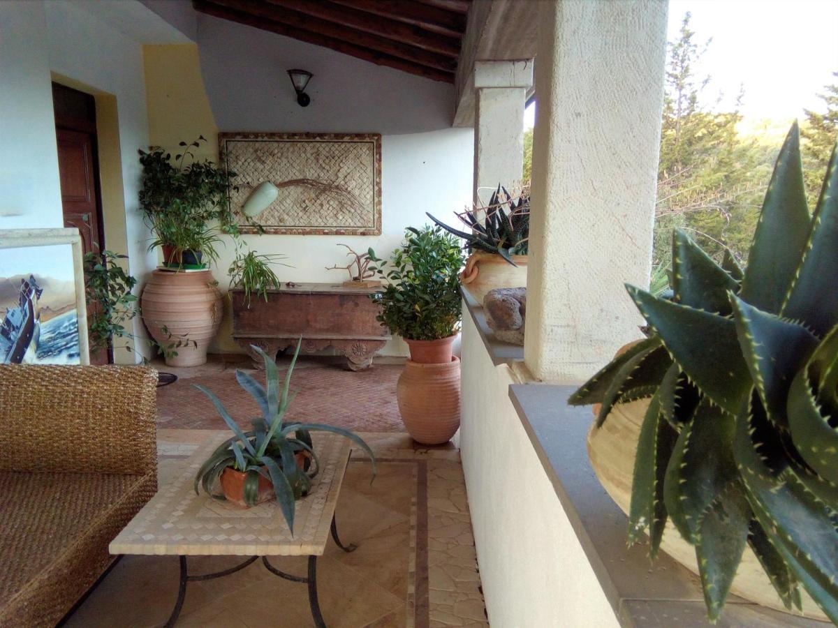 Casa D' Artista B&B Оциери Екстериор снимка